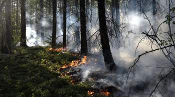 Мобилизацию жителей объявили в селе Чапаево в Якутии из-за лесного пожара
