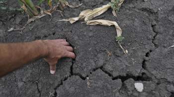 На Кубани прекратилась засуха