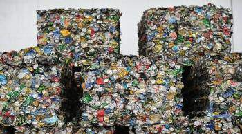 Жителям Подмосковья рассказали о борьбе с незаконным вывозом отходов