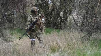 ВС России пресекли действия пяти украинских ДРГ на Купянском направлении