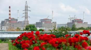 ООН назвала угрозы безопасности Запорожской АЭС неприемлемыми и опасными