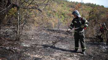 Рослесхоз подтвердил, что в Хабаровском крае потушили все лесные пожары 