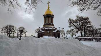 Кремль не получил жалобу актера Краско об уборке снега в Петербурге