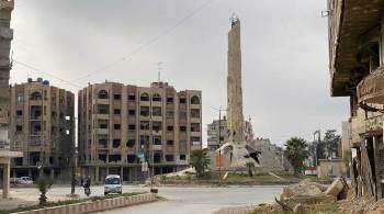 В сирийском Эль-Хасаке ликвидировали 246 боевиков ИГ*, сообщили СМИ