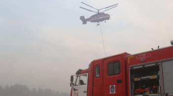 Причиной природных пожаров в Рязанской области стала сухая гроза