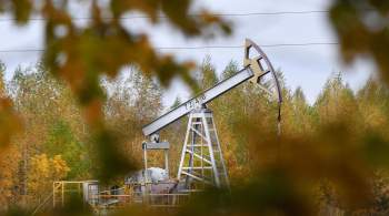 Россия не будет поставлять нефть при любом потолке цен, заявил Новак