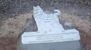 В Новгородской области установили первый памятник собаке-санитару 