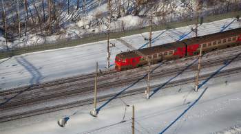 Прокуратура назвала причину задержки поездов в Ярославской области 