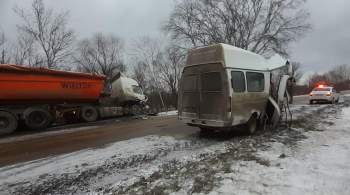 В Воронежской области в ДТП с микроавтобусом пострадали два человека 