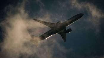 Летевший в Самару самолет совершил экстренную посадку в Шереметьево