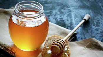 Социологи назвали самые популярные сорта меда у россиян