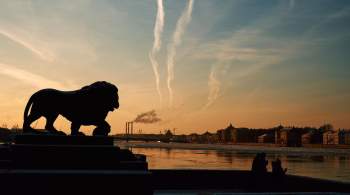 Скульптуры львов и сфинксов в Петербурге отправили на реставрацию