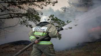 Крупный лесной пожар в Турции потушили