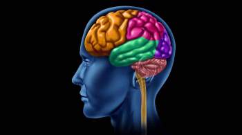Исследуя мистический синдром, ученые обнаружили людей с необычным мозгом