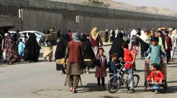 В Афганистане возобновили выдачу паспортов, сообщили СМИ