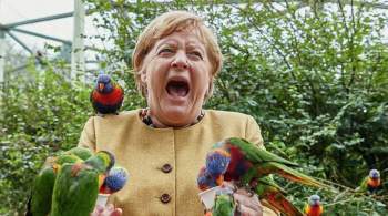 Меркель подверглась  нападению  попугая, когда она кормила птиц в парке