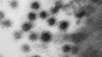 Японские ученые заявили о самоликвидации дельта-штамма коронавируса