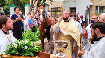 В Москве впервые за сто лет провели чин освящения лошадей