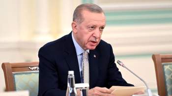 Эрдоган: Турция ведет подготовительные работы по проекту газового хаба