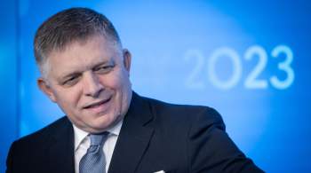 Экс-премьер Словакии раскритиковал поставки оружия Киеву 