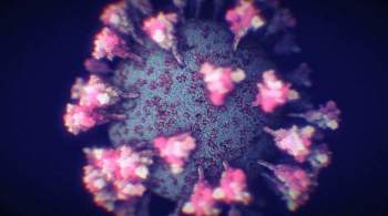 Ученые описали шанс появления штамма коронавируса со смертностью 35%