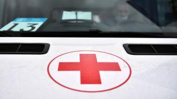 В Тульской области медики скорой помощи добрались до пациентки на лошади 