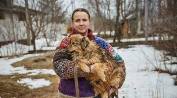 Вынужденный переезд: ставропольский приют для животных ищет новый дом