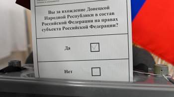 На зарубежных участках референдума в ДНР проголосовали 235 тысяч человек