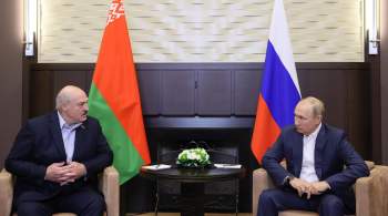 Песков рассказал, что Путин и Лукашенко постоянно общаются