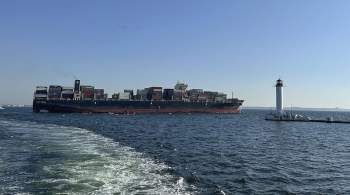 Два грузовых судна направились на Украину по временному коридору 
