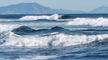 Температура Мирового океана бьет рекорды, заявили в службе мониторинга 