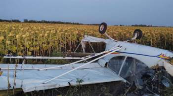 В Пензенской области упал легкомоторный самолет 
