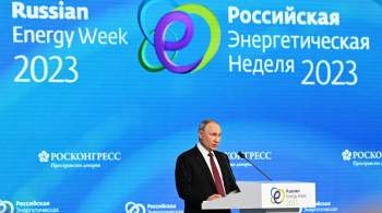 Путин: Россия практически нашла альтернативу европейским рынкам 