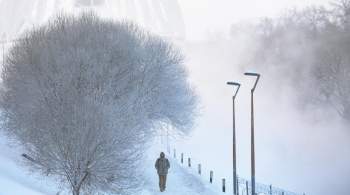 В Костромской области прогнозируют аномальные холода в новогодние праздники 