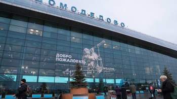 В Домодедово пытались тайно провезти украшения на три миллиона 