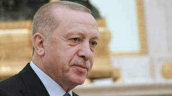 Эрдоган в разговоре с Зеленским поддержал  Крымскую платформу 