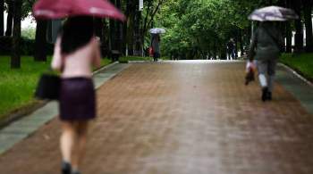 МЧС предупредило москвичей о сильном дожде, грозе и ветре