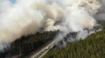 ВНИИ ГОЧС: отдыхающие в лесах могут спровоцировать верховые пожары