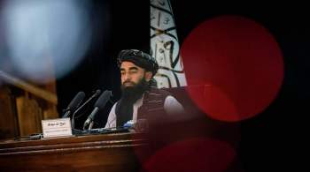 Забиуллу Муджахида назначили главным представителем талибов 