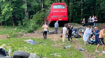 На Кубани автобус с туристами врезался в дерево