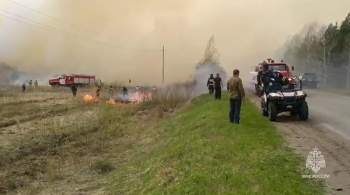В Зауралье нашли почти 50 виновников лесных пожаров 