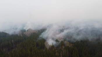 Вблизи бурятского села с помощью авиации выявили крупный лесной пожар
