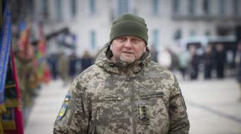 Залужный заявил, что все граждане Украины должны служить 