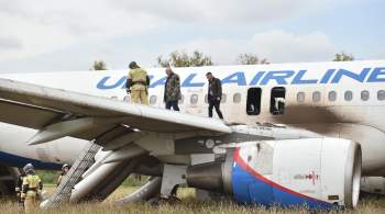 Авиакомпания выплатила компенсации пассажирам севшего на поле самолета 