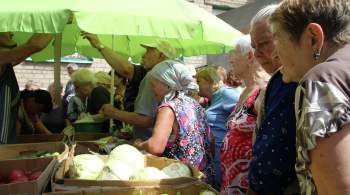 Власти ДНР будут следить за ростом цен на социально значимые товары