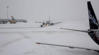 В московских аэропортах задержали или отменили около 30 рейсов 