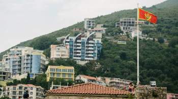 Посольство в Черногории попросило обосновать получение убежища Исмаиловым