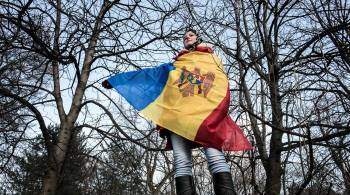 В Молдавии протестующие предложили власти топить навозом, а не газом