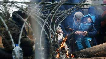 Канцлер Австрии призвал взаимодействовать с Минском по ситуации с беженцами