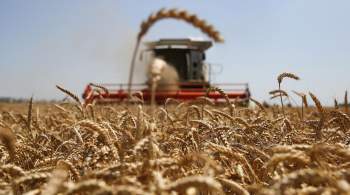 Небензя: Россия готова экспортировать до конца года 25 миллионов тонн зерна